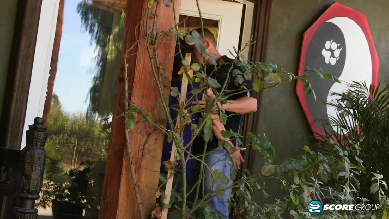 PornMegaLoad Whinny Spice Look What Whinny Brought HomeXXX